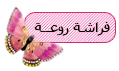 فراشة روعة فراشة روعة
