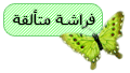 فراشة متألقة فراشة متألقة