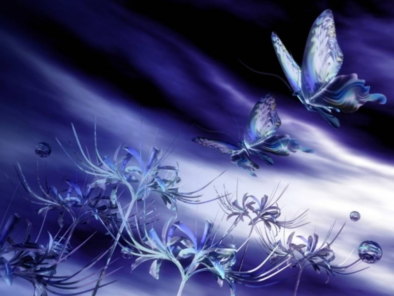 belles images  papillons pour creation