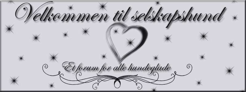 Selskapshund