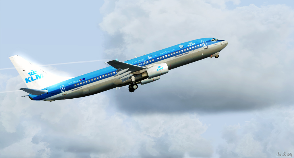 737-510.jpg
