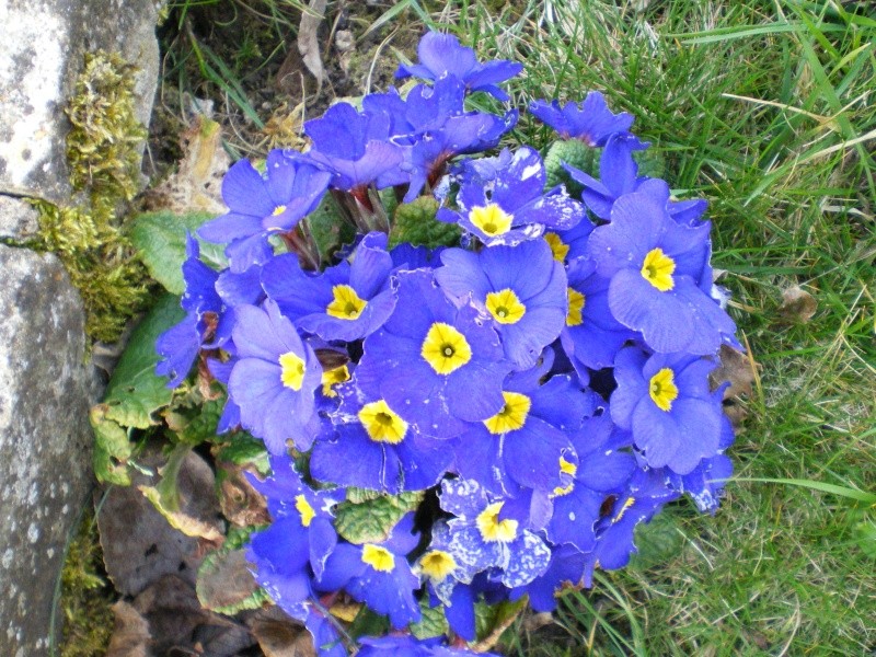 imgp1026.jpg