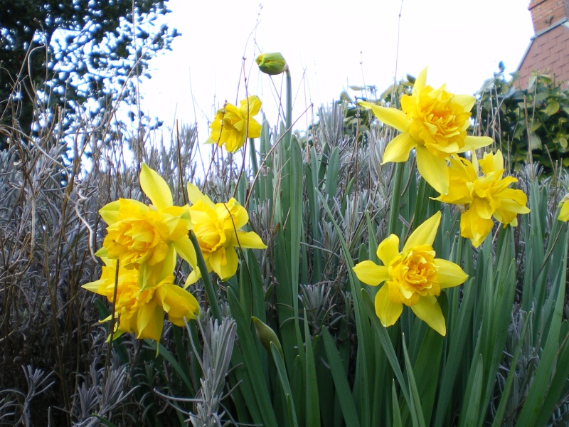 imgp1110.jpg