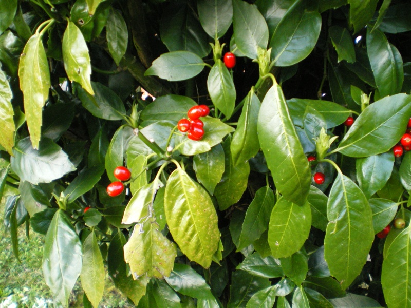 imgp1111.jpg