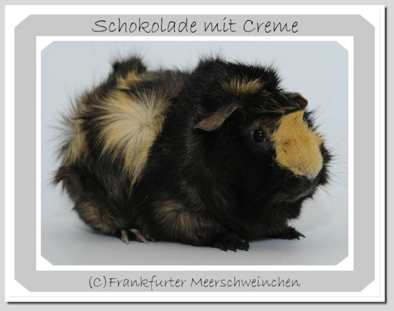 Von servimg.com gehostetes Bild