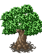 albero11.png