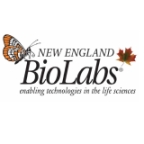 biolab10.jpg