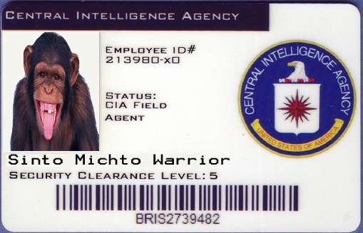 cia10.jpg