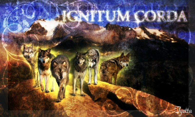 '~.:Ignitum Corda:.~'